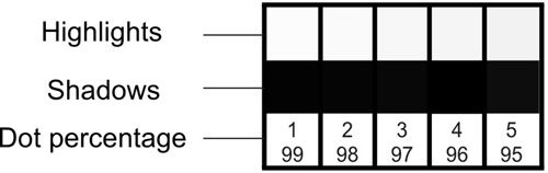 Hình 11: Các ô dùng kính lúp để quan sát tầng thứ vùng sáng và tối. Hình 11: Các ô dùng kính lúp để quan sát tầng thứ vùng sáng và tối.
